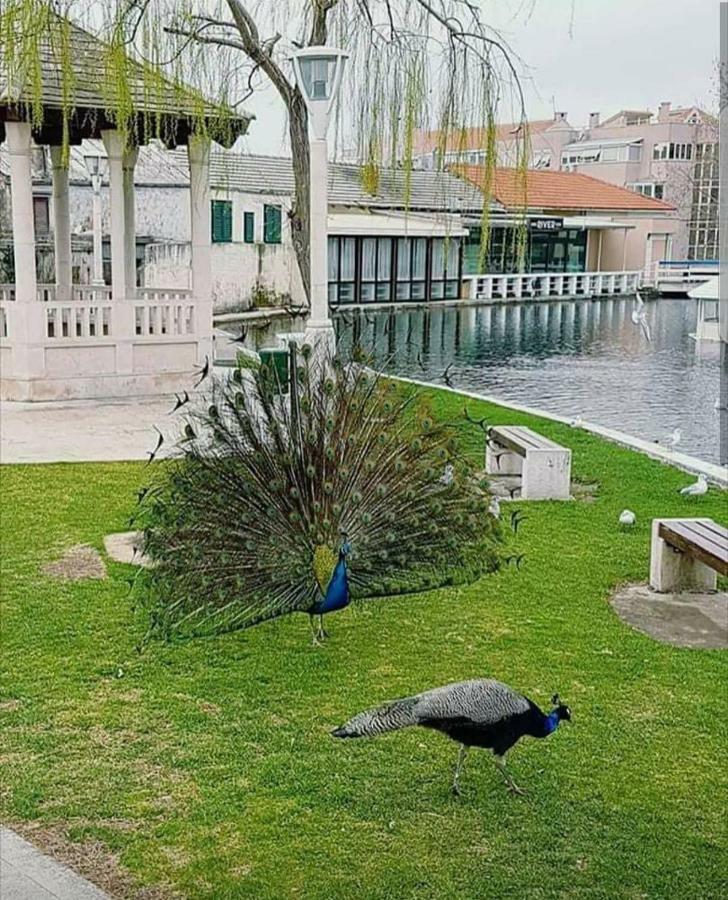 Apartment Brane Solin Dış mekan fotoğraf